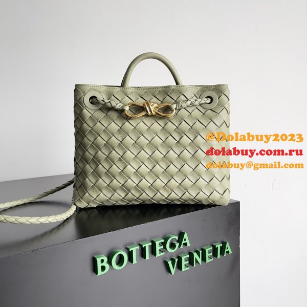 BOTTEGA VENETA ANDIAMO Small 25cm Bag Leather Strap