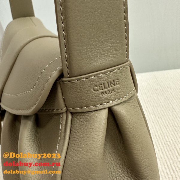 Top Quality Celine POLLY Triomphe 115633 handbag