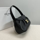 Top Quality Celine POLLY Triomphe 115633 handbag