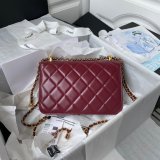 1:1 Replica AS2649 Calfskin & Gold-Tone Metal Flap Bag