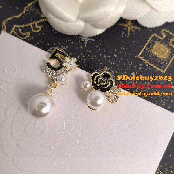 Top Quality CC earings new style 2024