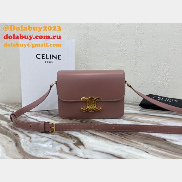 Celine Replica Knock Off Triomphe Micro Luggage 18.5 cm Handbags