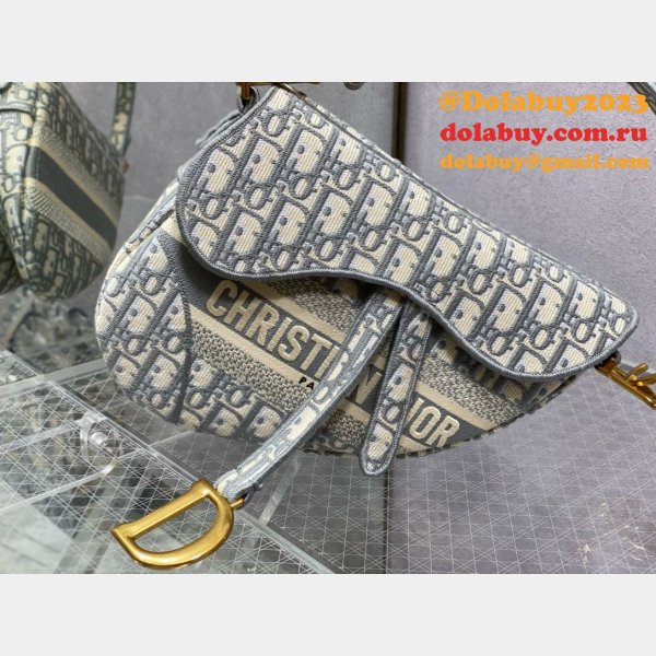 REPLICA DIOR SADDLE grey 25.5CM HADNBAG HOT SELLING